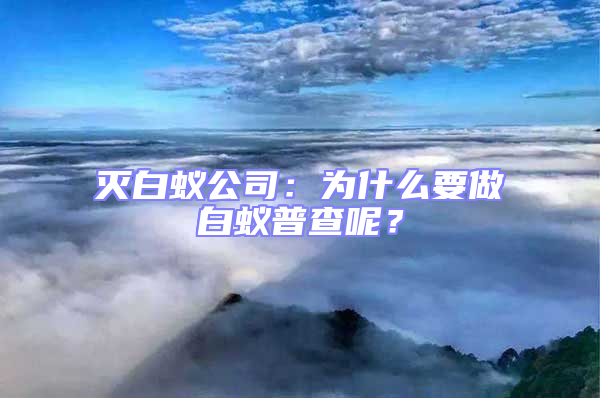 滅白蟻公司:為什么要做白蟻普查呢?