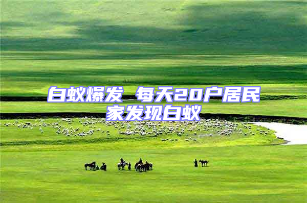 白蟻爆發(fā) 每天20戶居民家發(fā)現(xiàn)白蟻