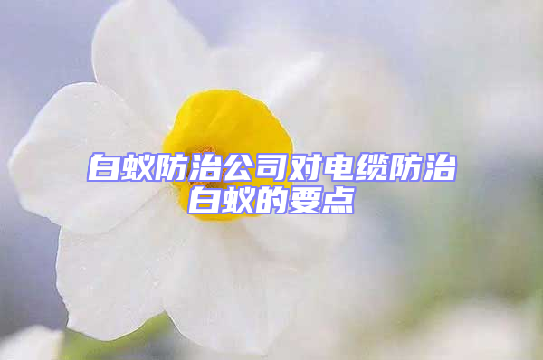 白蟻防治公司對(duì)電纜防治白蟻的要點(diǎn)