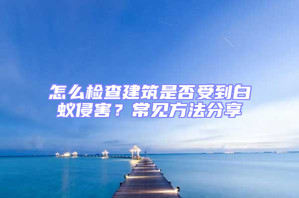 怎么檢查建筑是否受到白蟻侵害?常見(jiàn)方法分享
