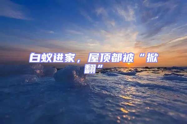 白蟻進家，屋頂都被“掀翻”