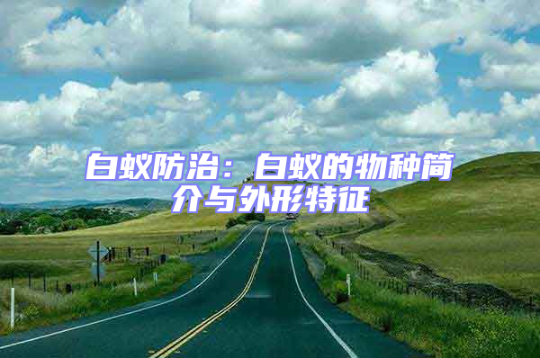 白蟻防治：白蟻的物種簡介與外形特征