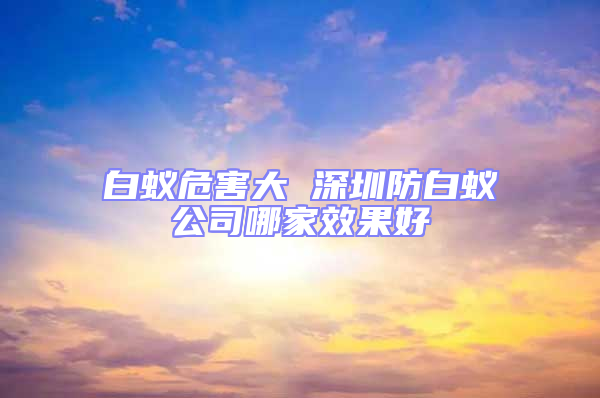 白蟻危害大 深圳防白蟻公司哪家效果好