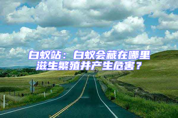 白蟻站：白蟻會藏在哪里滋生繁殖并產生危害？