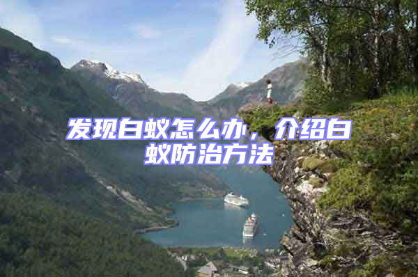 發(fā)現(xiàn)白蟻怎么辦，介紹白蟻防治方法