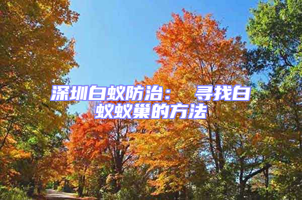 深圳白蟻防治: 尋找白蟻蟻巢的方法