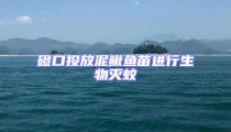 磴口投放泥鰍魚苗進行生物滅蚊