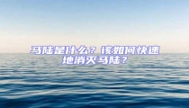 馬陸是什么？該如何快速地消滅馬陸？
