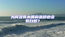 為何沒有木質(zhì)構(gòu)造卻也會有白蟻？