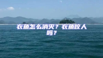 衣魚(yú)怎么消滅？衣魚(yú)咬人嗎？
