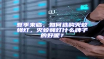 夏季來臨，如何選購滅蚊蠅燈，滅蚊蠅燈什么牌子的好呢？