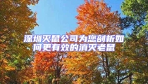 深圳滅鼠公司為您剖析如何更有效的消滅老鼠