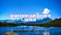 深圳白蟻防治的治白蟻專業技術