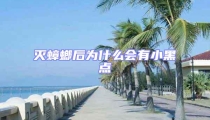 滅蟑螂后為什么會(huì)有小黑點(diǎn)