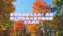 家里有蟑螂怎么辦？殺蟑螂公司告訴大家小強蟑螂怎么消滅