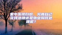 家中發現白蟻，究竟自己花錢處理還是物業掏錢處理呢？