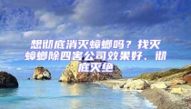 想徹底消滅蟑螂嗎？找滅蟑螂除四害公司效果好、徹底滅絕