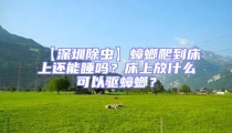 【深圳除蟲】蟑螂爬到床上還能睡嗎？床上放什么可以驅(qū)蟑螂？