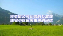 滅老鼠公司讓您的公寓和住宅小區(qū)遠(yuǎn)離蟲(chóng)害的困擾