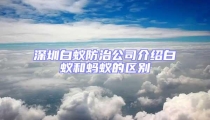 深圳白蟻防治公司介紹白蟻和螞蟻的區別