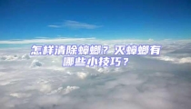 怎樣清除蟑螂？滅蟑螂有哪些小技巧？