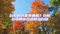 白蟻的危害有哪些？白蟻公司教你怎樣防治白蟻