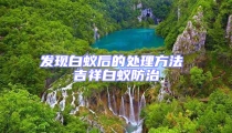 發(fā)現(xiàn)白蟻后的處理方法 吉祥白蟻防治
