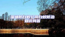 深圳防白蟻公司白蟻防治知識(shí)問(wèn)答
