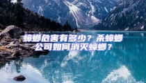 蟑螂危害有多少？殺蟑螂公司如何消滅蟑螂？