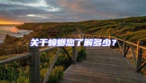 關于蟑螂您了解多少？