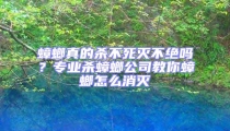 蟑螂真的殺不死滅不絕嗎？專業殺蟑螂公司教你蟑螂怎么消滅
