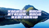滅治白蟻公司：堆砂白蟻屬于木白蟻科，堆砂白蟻屬全國訂明的有9種