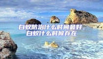 白蟻防治什么時(shí)間最好，白蟻什么時(shí)候存在