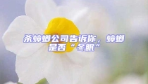 殺蟑螂公司告訴你，蟑螂是否“冬眠”