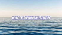 船舶上的蟑螂怎么防治