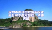 深圳市深圳白蟻防治除四害公司專業滅白蟻、殺蟲滅鼠
