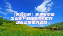 【滅鼠公司】家里有老鼠怎么辦？教你8招驅鼠方法趕走家里的老鼠