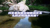 沙發(fā)里有很多蟑螂應(yīng)該怎么樣才可以殺死呢？