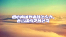 超市商鋪有老鼠怎么辦，首選深圳滅鼠公司