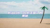 防治白蟻“白蟻王國”的奧秘