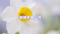 深圳滅蟲公司