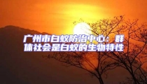 廣州市白蟻防治中心：群體社會(huì)是白蟻的生物特性