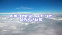 深圳白蟻防治：工廠白蟻防治方法詳解