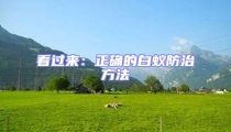 看過(guò)來(lái)：正確的白蟻防治方法