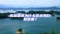 高層建筑為什么會出現(xiàn)白蟻危害？