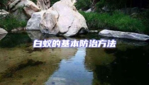 白蟻的基本防治方法