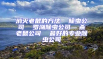 消滅老鼠的方法  除蟲公司  羅湖除蟲公司  殺老鼠公司  最好的專業(yè)除蟲公司