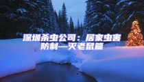 深圳殺蟲公司：居家蟲害防制—滅老鼠篇