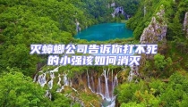 滅蟑螂公司告訴你打不死的小強(qiáng)該如何消滅