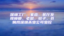 深圳工廠、家庭、餐廳發(fā)現(xiàn)蟑螂、老鼠、蚊子、蒼蠅找深圳殺蟲(chóng)公司蟲(chóng)控